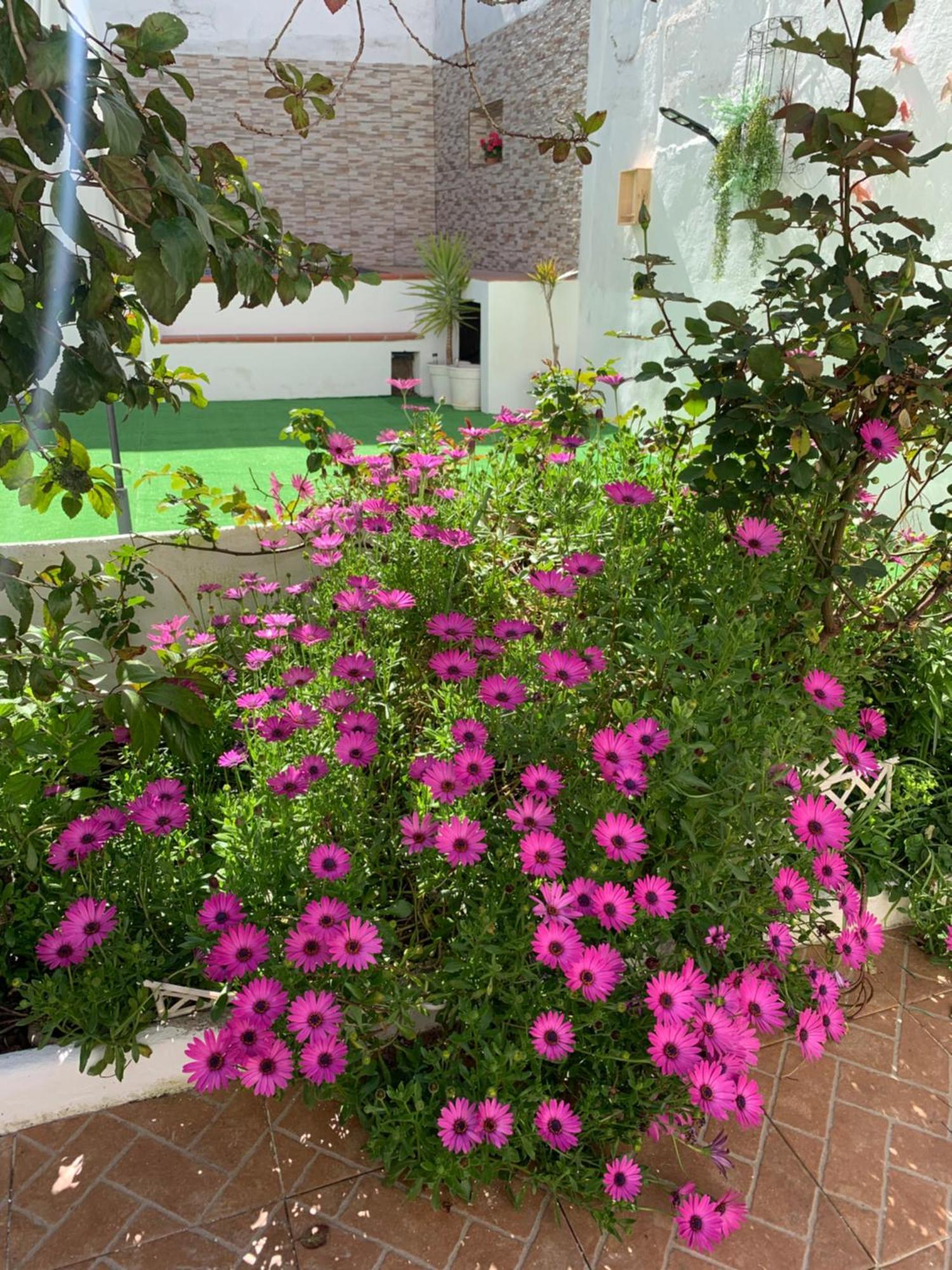 Вилла Casa Dos Tios Estremoz-Veiros Экстерьер фото
